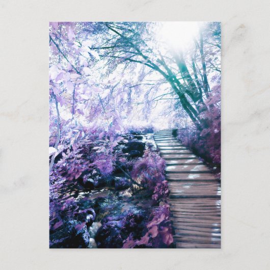 魅惑の道 ポストカード (正面)