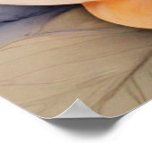 魅惑の鳥フローラ鳥の恋人ギフト ポスター (角)