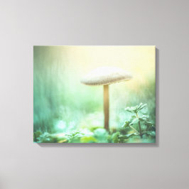 魅惑キノコ自然写真 キャンバスプリント