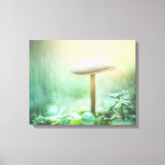 魅惑キノコ自然写真 キャンバスプリント (正面)