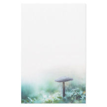 魅惑キノコ自然写真