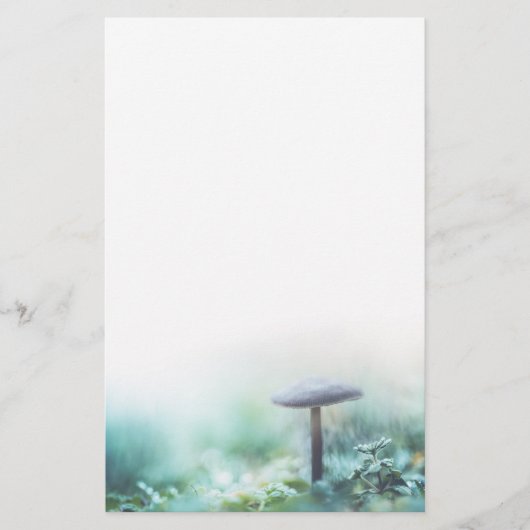 魅惑キノコ自然写真 便箋 (正面)