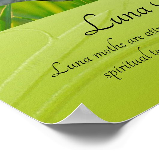 魅惑ルナガ ポスター (角)