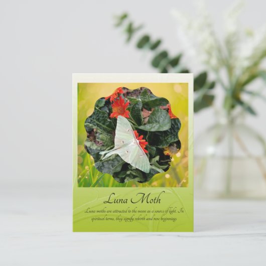 魅惑ルナガ ポストカード (スタンド正面)