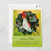 魅惑ルナガ ポストカード (正面/裏面)