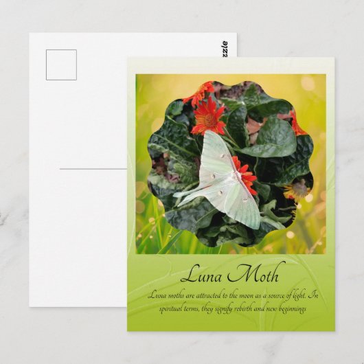 魅惑ルナガ ポストカード (正面/裏面)