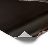 魅惑的なシルバーキツネ ポスター (角)