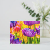 魅惑的なディープピンクのチューリップ ポストカード (スタンド正面)