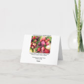 魅惑的なラディッシュのメッセージカード カード (裏面)