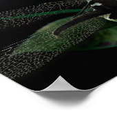 魅惑的な夜のフルカラー ポスター (角)