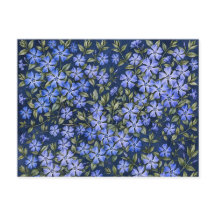 魅惑的な日陰のニチニチソウの花 深い青