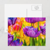 魅惑的な濃ピンクのチューリップ ポストカード (正面/裏面)