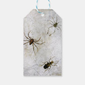 魔女おもしろいの脚よこしまなハロウィーン ギフトタグ (裏面)