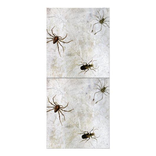 魔女おもしろいの脚よこしまなハロウィーン ラックカード (裏面)