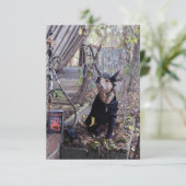 魔女のコスチューム本おもしろい犬フォトカード サンキューカード (スタンド正面)