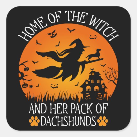 魔女の家と彼女のパックのダシュントクール スクエアシール (正面)