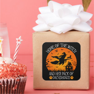 魔女の家と彼女のパックのダシュントクール スクエアシール