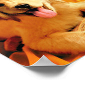 魔女の帽子と箒を持つパップ ポスター (角)