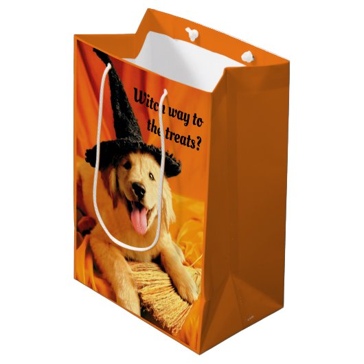 魔女の帽子と箒を持つポップ ミディアムペーパーバッグ (正面アングル)