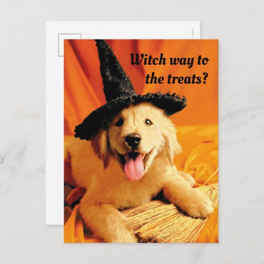 魔女の帽子をかぶった子犬とほうき インビテーションポストカード (正面/裏面)