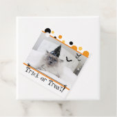 魔女不気味帽子のハロウィーン猫 フェイバータグ (インサイチュ)