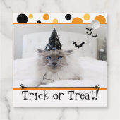 魔女不気味帽子のハロウィーン猫 フェイバータグ (裏面)