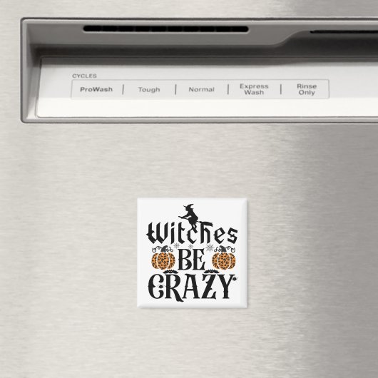 魔女熱狂する マグネット (インサイチュ (食洗機))