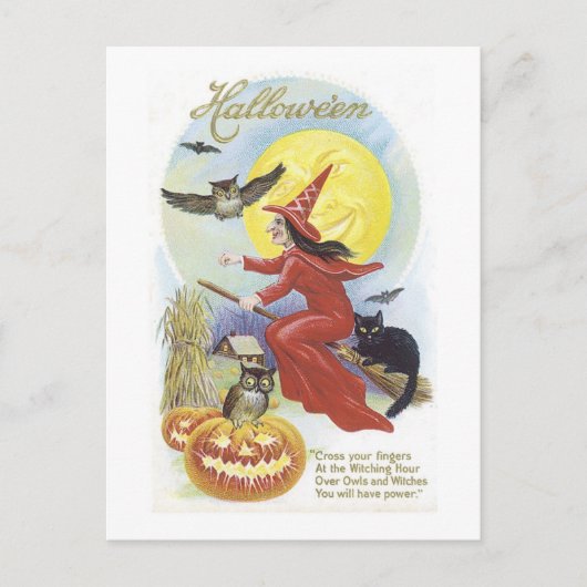魔女飛んでいる、こうもり、ネコ、フクロウ月 ポストカード (正面)