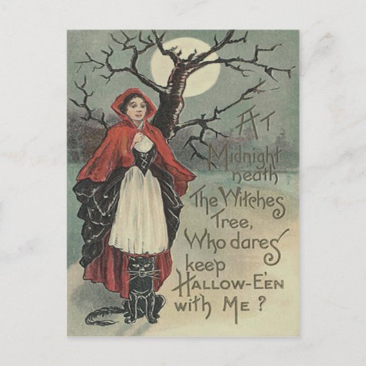 魔女黒猫フルムーン ポストカード (正面)