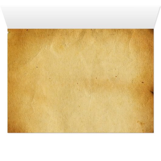 魔導師の崇拝 (内部横(下))