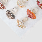 魔法お洒落フィクションAW6デコパージュ 薄葉紙 (詳細)