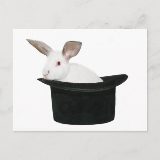 魔法だ！ ポストカード (正面)