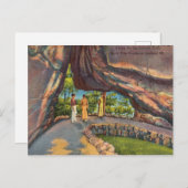 魔法のかけられた道、ロックシティガーデン、見渡す山 ポストカード (正面/裏面)