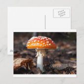 魔法のきのこ ポストカード (正面/裏面)