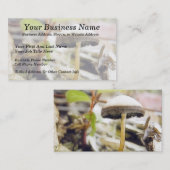 魔法のきのこ 名刺 (正面/裏面)