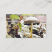 魔法のきのこ 名刺 (裏面)