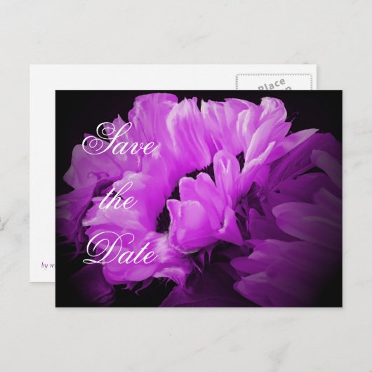 魔法のひまわり日付はがきを保存 案内ポストカード (正面/裏面)