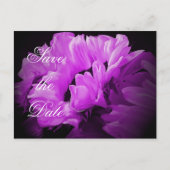 魔法のひまわり日付はがきを保存 案内ポストカード (正面)