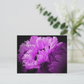 魔法のひまわり日付はがきを保存 案内ポストカード (スタンド正面)