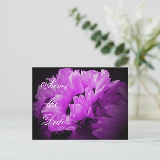 魔法のひまわり日付はがきを保存 案内ポストカード (スタンド正面)