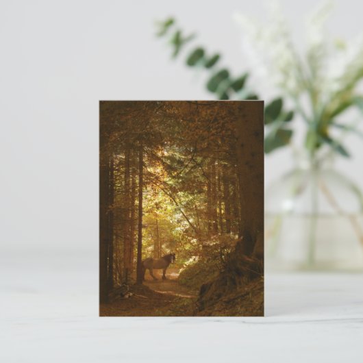 魔法のように照らされた森の中の馬 ポストカード (スタンド正面)