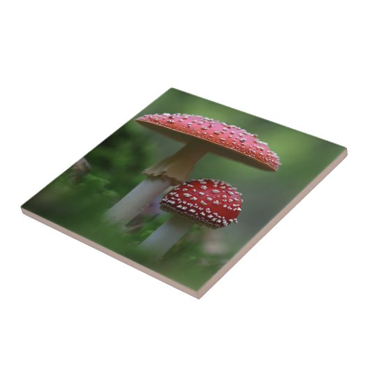 魔法のキノコ タイル (側面)