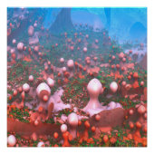 魔法のキノコ ポスター (正面)