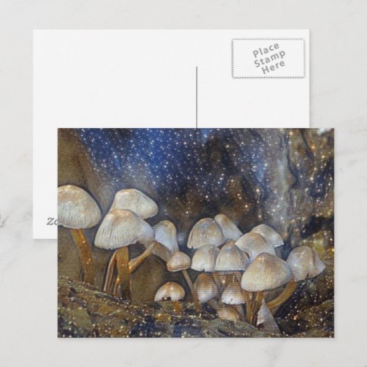 魔法のキノコ ポストカード (正面/裏面)