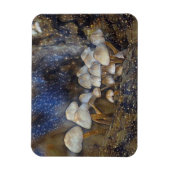 魔法のキノコ マグネット (縦)