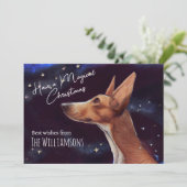 魔法のクリスマスドッグお洒落アート シーズンカード (スタンド正面)