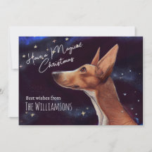 魔法のクリスマスドッグお洒落アート