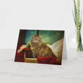 魔法のクリスマス シーズンカード