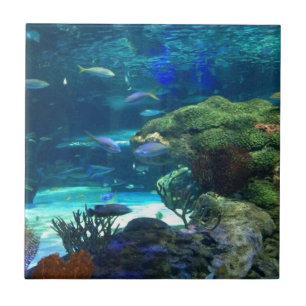魔法のサンゴ礁 タイル