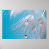 魔法のタンポポ ポスター (正面)